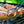 Sheboygan Style Bratwurst sizzling on the grill.