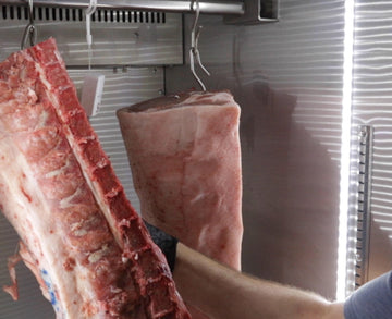 Dry aged pork primal cuts in a dry aging cabinet