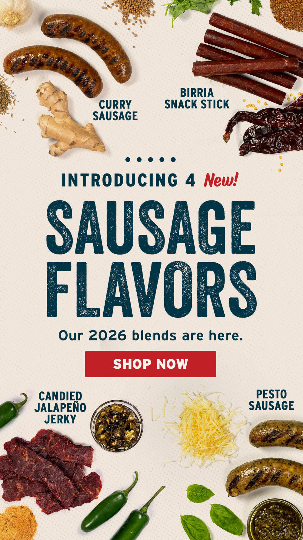 PS Seasoning 2026 New Flavors