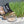 Wood Chips