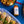 Elote Loco - Street Corn Seasoning on table with corn and shrimp