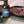 Blue Ribbon - Competition-Style BBQ Sauce on pork