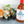 Red Rooster - Sweet Red Chili Sauce with spring rolls