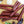 No. 470 Birria Snack Stick Seasoning
