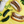 No. 780 Cowboy Butter Bratwurst Seasoning