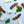 No. 785 Spinach & Feta Bratwurst Seasoning