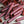 No. 765 Honey BBQ Snack Stick Seasoning