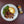 wild game seasoning with venison meat loaf