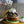 Open Sesane everything bagel seasoning with sesame seeds, onion, and poppy seeds used in a burger