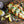Bier Hall Gourmet Mustard drizzled on schnitzel